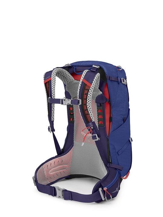 osprey sirrus 24 backpack in blueberry, back view