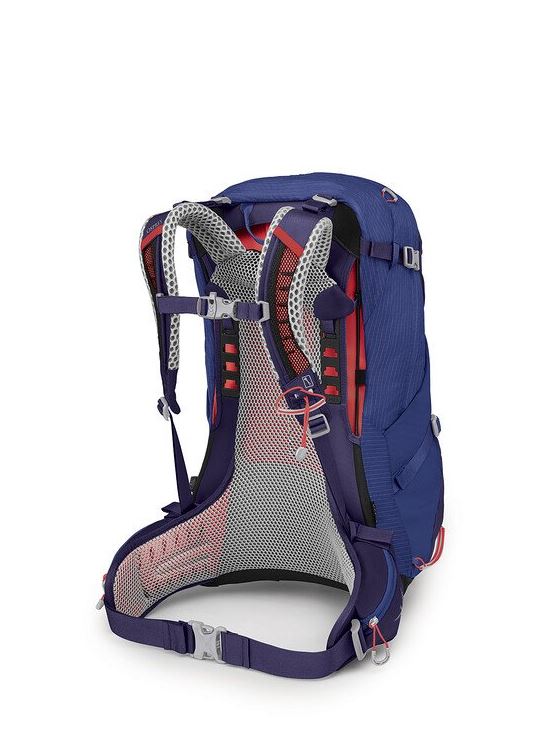 osprey sirrus 34 backpack in blueberry, back view
