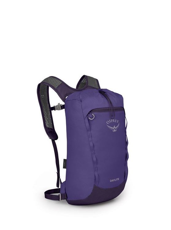 osprey daylite cinch in purple, front view