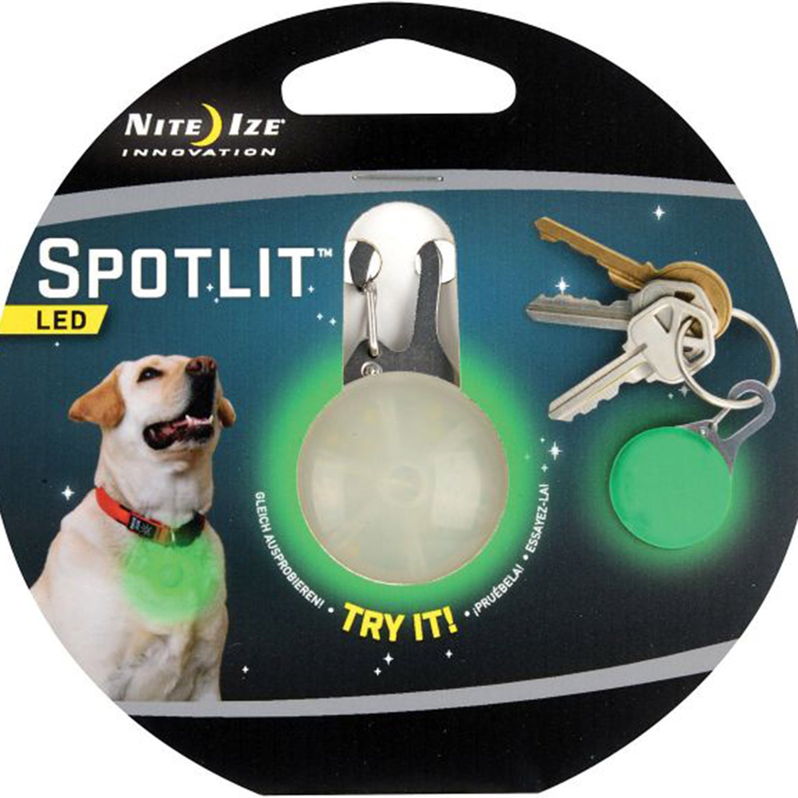 spotlit dog collar light in green