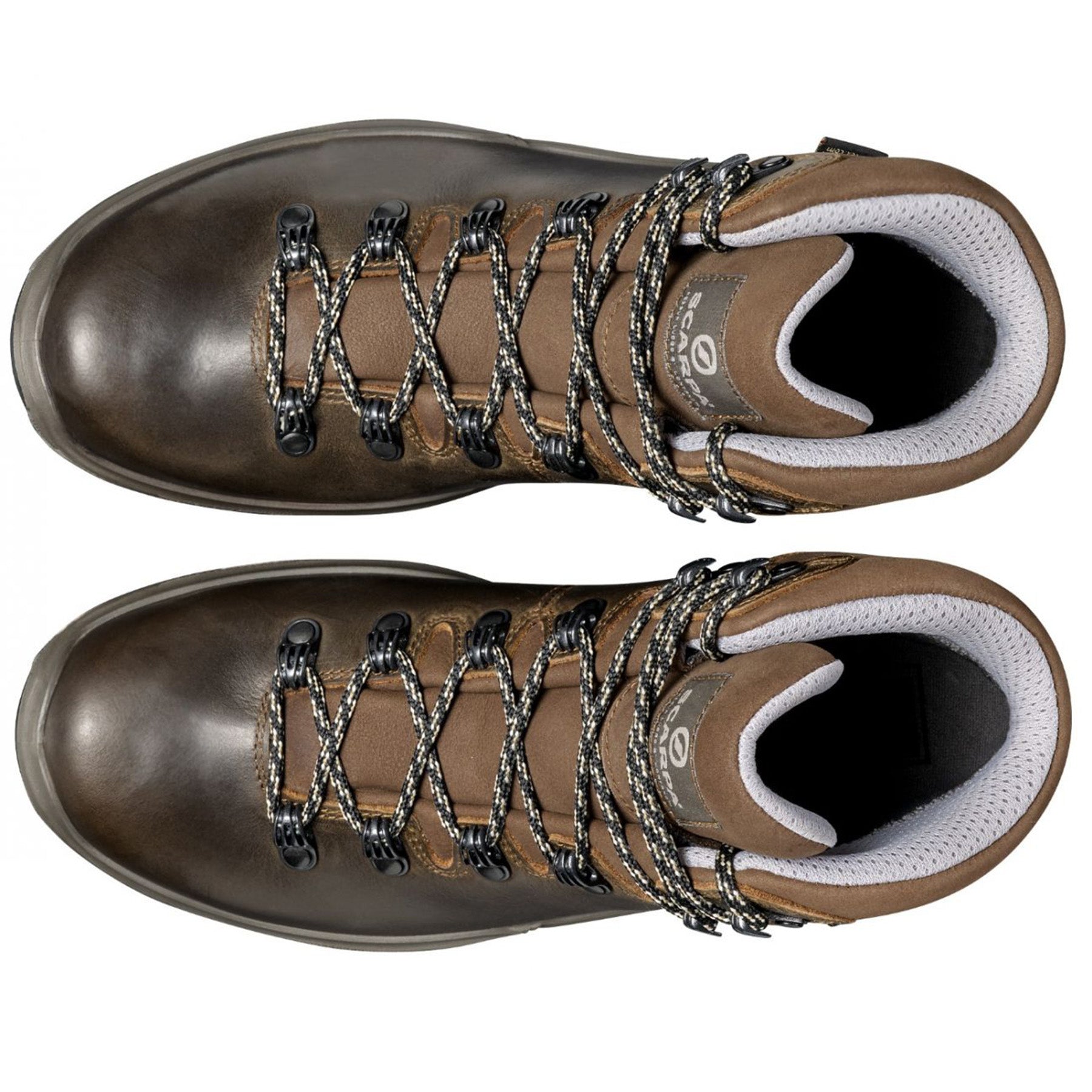 view from above of the women's goretex terra hiking boot