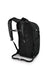 osprey daylite plus backpack in black, back view