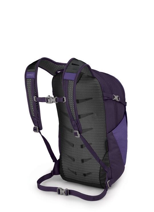 osprey daylite plus backpack in purple, back view