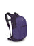 osprey daylite plus backpack in purple, front view