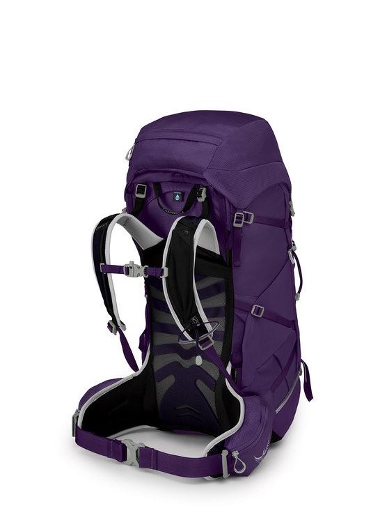 osprey tempest 40 pack in violac purple, back view