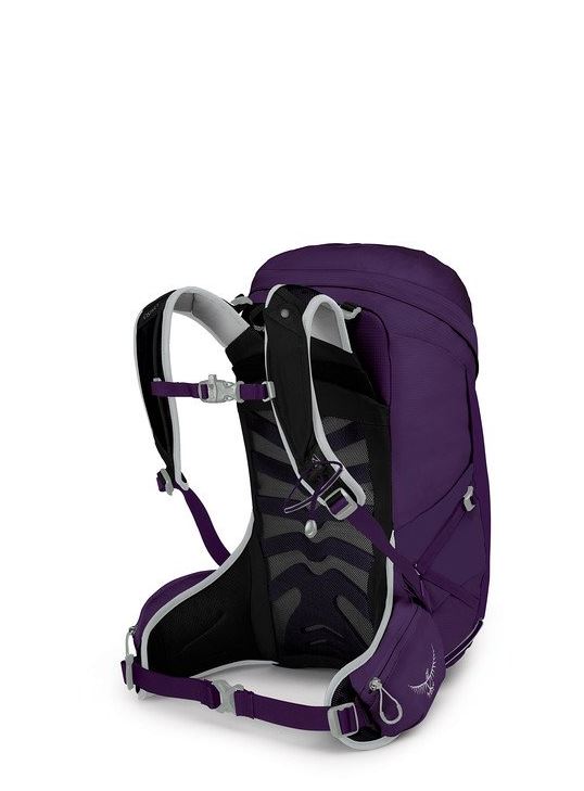 osprey tempest 24 pack in violac purple, back view