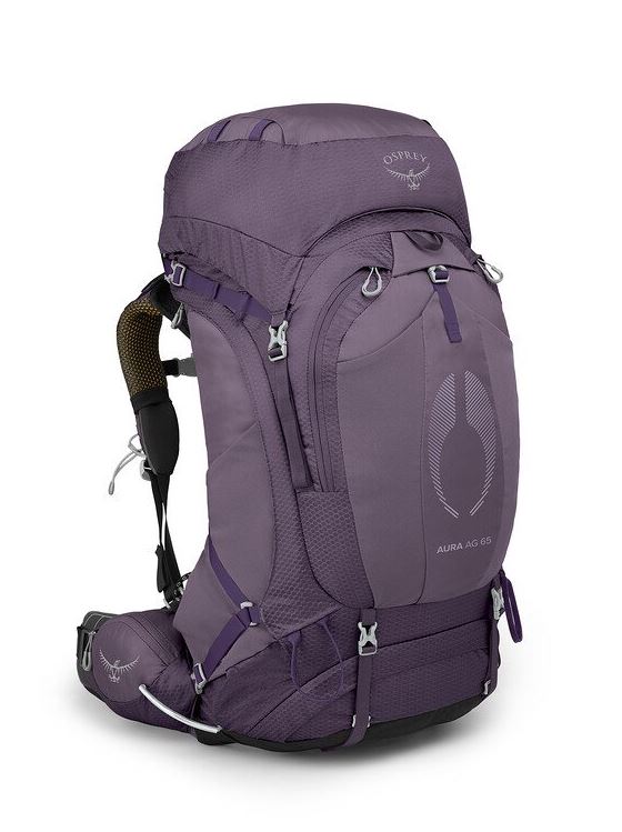 osprey aura ag 65 backpack in enchantment purple, front view