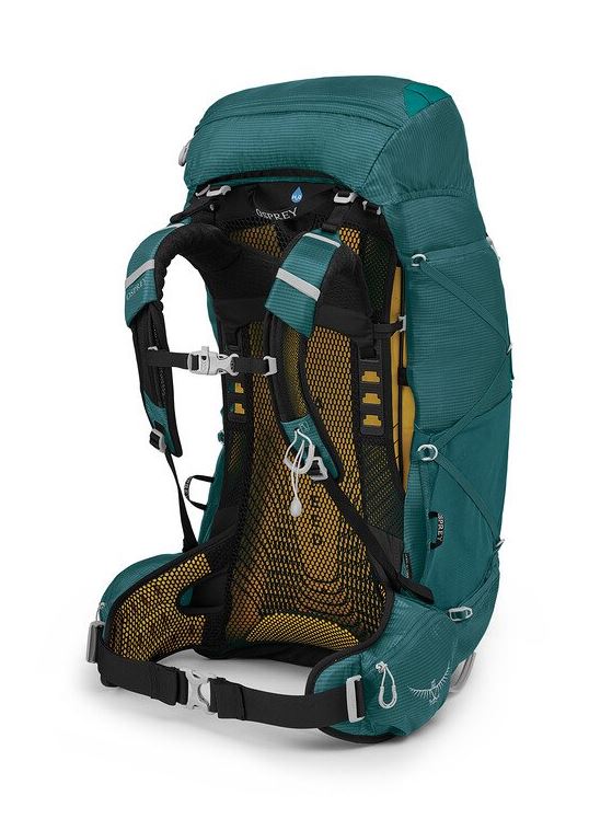 osprey eja 58 backpack in teal, back view